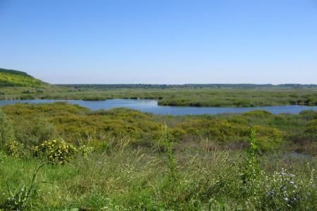 Rezervatia naturala Srebarna, Bulgaria